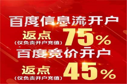 竞价排名在移动端广告的案例研究